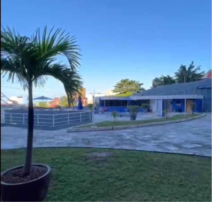 Апартаменты Terrazzo Flat Pontanegra Натал Экстерьер фото
